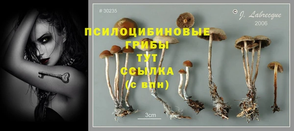ГАЛЛЮЦИНОГЕННЫЕ ГРИБЫ Алексеевка