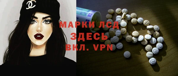 стаф Алексин