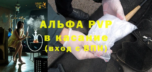 стаф Алексин