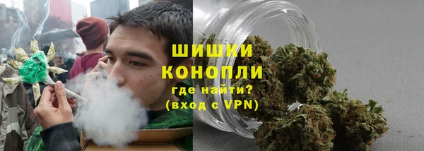 ГАЛЛЮЦИНОГЕННЫЕ ГРИБЫ Алексеевка
