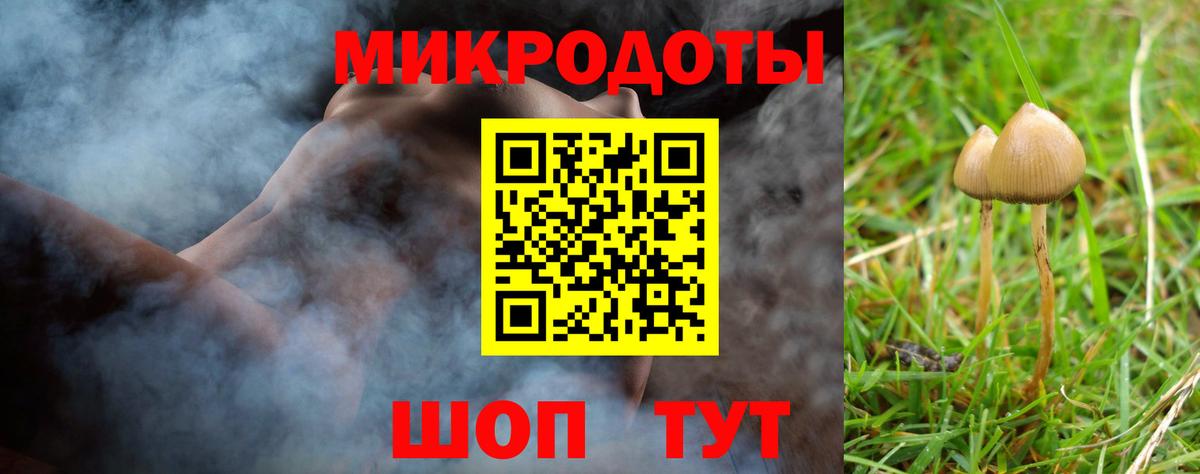 Волхов  Галлюциногенные грибы прущие грибы  Галлюциногенные грибы Magic Shrooms  Вход с VPN 