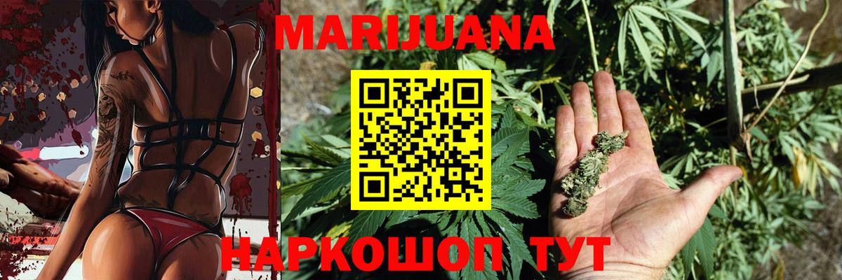 Волхов  Шишки марихуана план  Вход с VPN  Марихуана VHQ  Конопля OG Kush  Бошки Шишки THC 21% 